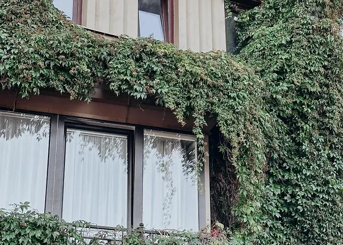 P7 3* Паланга